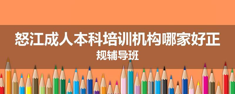 怒江成人本科培训机构哪家好正规辅导班