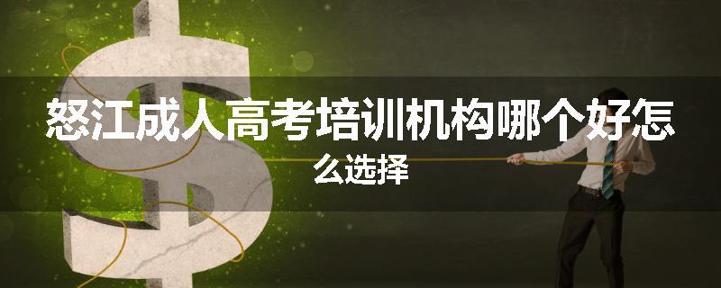 怒江成人高考培训机构哪个好怎么选择