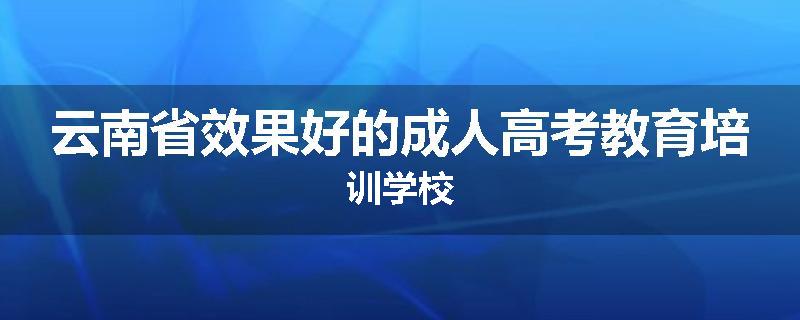 云南省效果好的成人高考教育培训学校