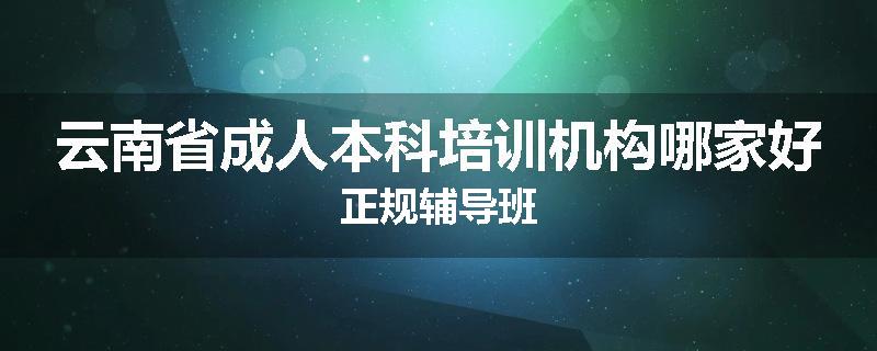 云南省成人本科培训机构哪家好正规辅导班