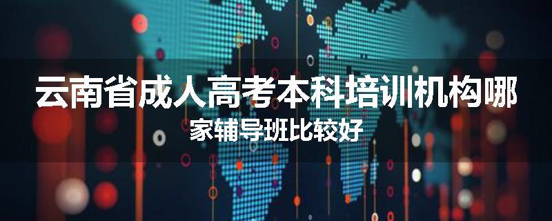 云南省成人高考本科培训机构哪家辅导班比较好