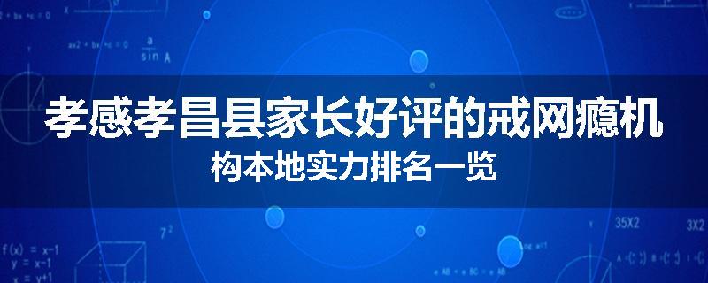 孝感孝昌县家长好评的戒网瘾机构本地实力排名一览