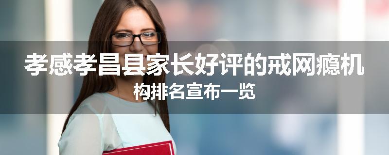 孝感孝昌县家长好评的戒网瘾机构排名宣布一览