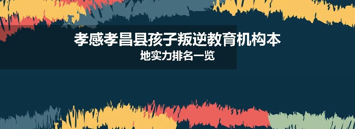 孝感孝昌县孩子叛逆教育机构本地实力排名一览