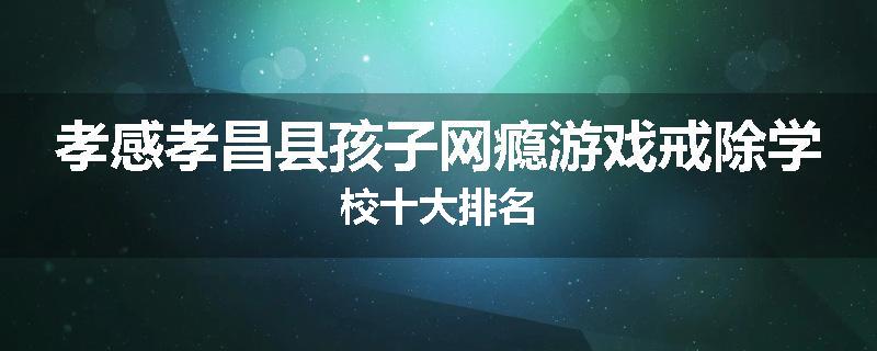 孝感孝昌县孩子网瘾游戏戒除学校十大排名