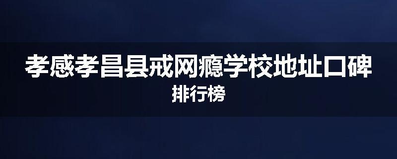 孝感孝昌县戒网瘾学校地址口碑排行榜