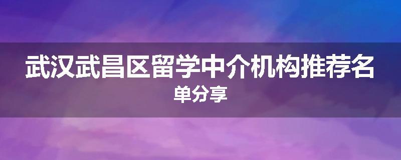 武汉武昌区留学中介机构推荐名单分享