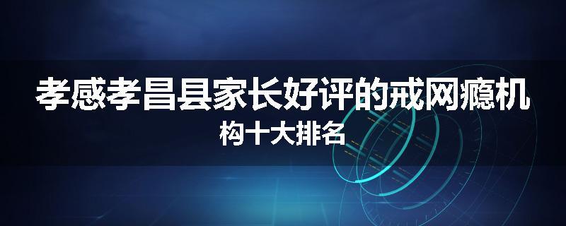 孝感孝昌县家长好评的戒网瘾机构十大排名