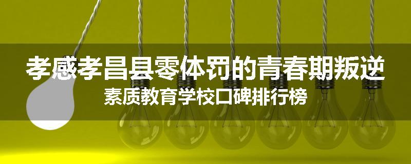 孝感孝昌县零体罚的青春期叛逆素质教育学校口碑排行榜