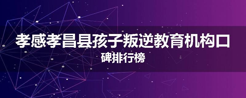 孝感孝昌县孩子叛逆教育机构口碑排行榜