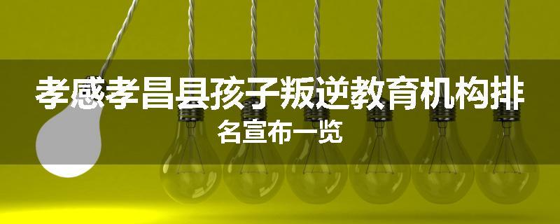孝感孝昌县孩子叛逆教育机构排名宣布一览