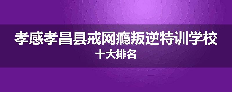 孝感孝昌县戒网瘾叛逆特训学校十大排名