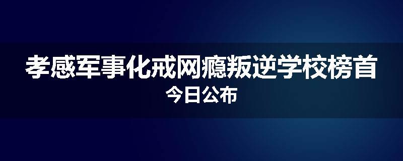 孝感军事化戒网瘾叛逆学校榜首今日公布