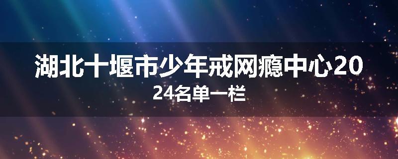 湖北十堰市少年戒网瘾中心2024名单一栏