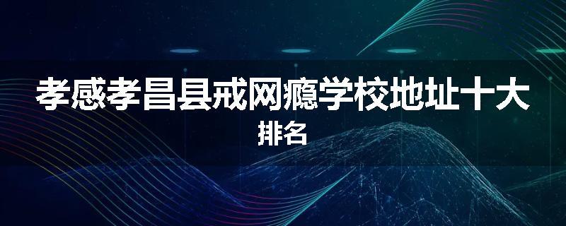 孝感孝昌县戒网瘾学校地址十大排名