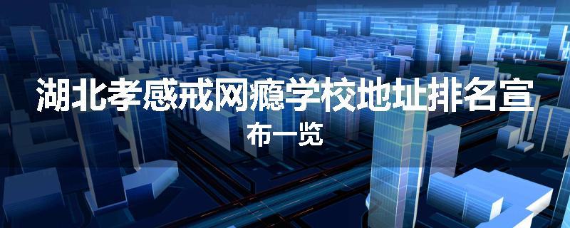 湖北孝感戒网瘾学校地址排名宣布一览