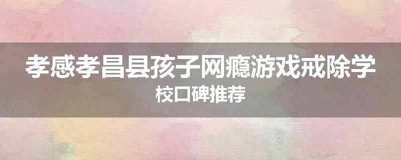 孝感孝昌县孩子网瘾游戏戒除学校口碑推荐