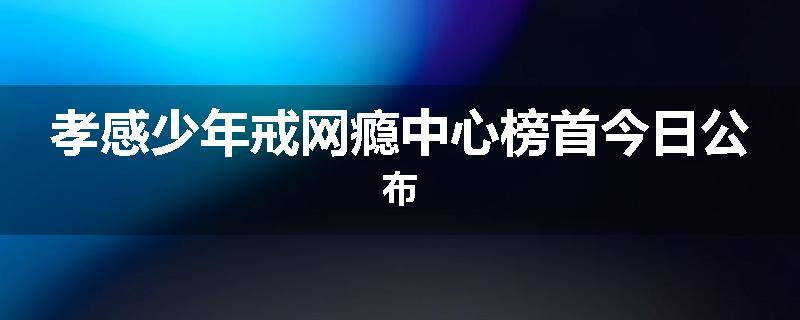 孝感少年戒网瘾中心榜首今日公布