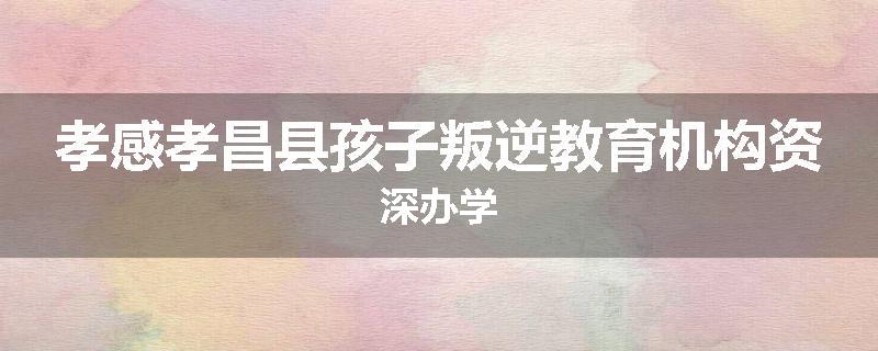 孝感孝昌县孩子叛逆教育机构资深办学