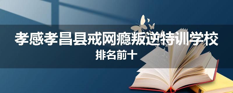孝感孝昌县戒网瘾叛逆特训学校排名前十