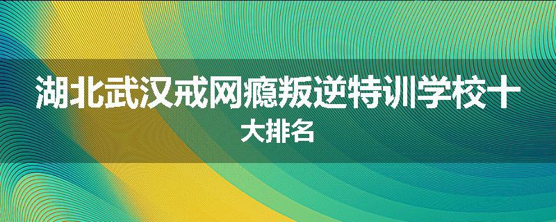 湖北武汉戒网瘾叛逆特训学校十大排名