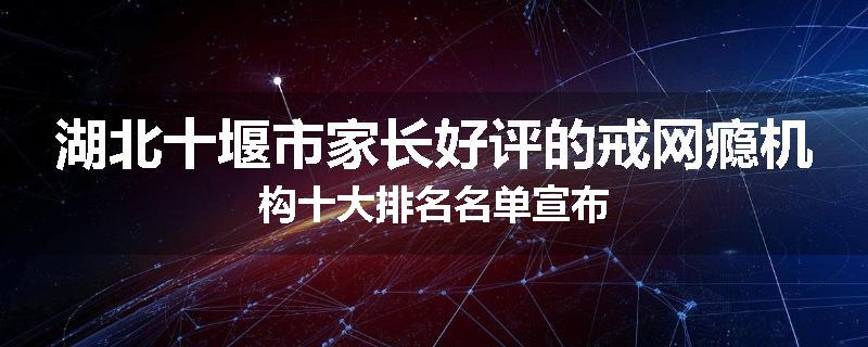 湖北十堰市家长好评的戒网瘾机构十大排名名单宣布
