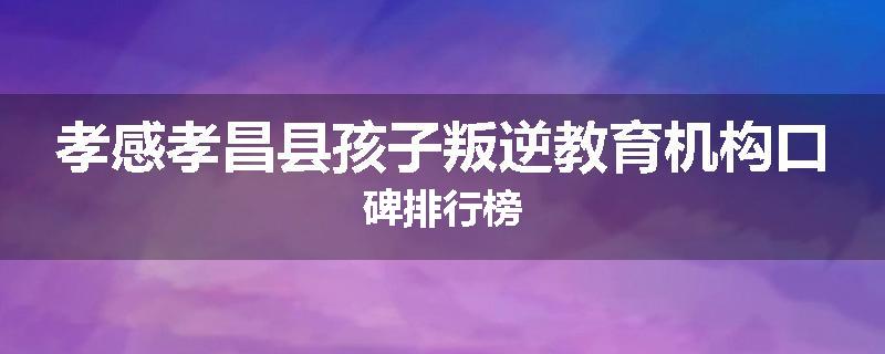 孝感孝昌县孩子叛逆教育机构口碑排行榜