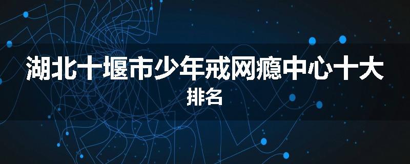 湖北十堰市少年戒网瘾中心十大排名