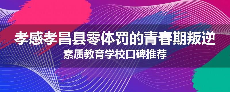 孝感孝昌县零体罚的青春期叛逆素质教育学校口碑推荐