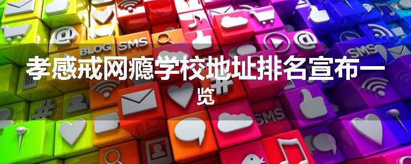 孝感戒网瘾学校地址排名宣布一览