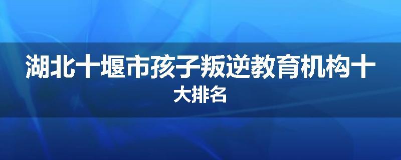湖北十堰市孩子叛逆教育机构十大排名