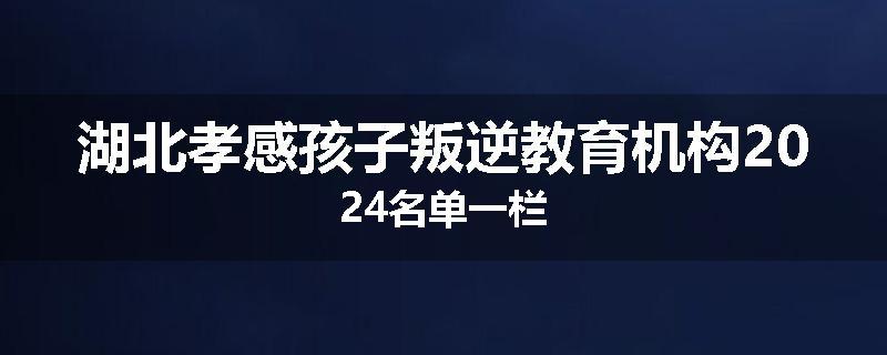 湖北孝感孩子叛逆教育机构2024名单一栏