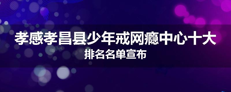 孝感孝昌县少年戒网瘾中心十大排名名单宣布