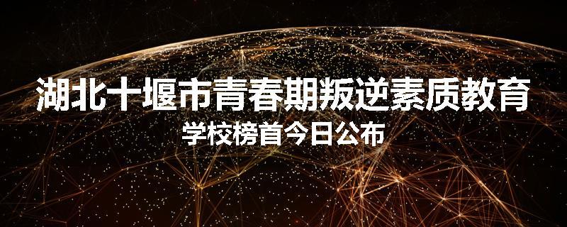 湖北十堰市青春期叛逆素质教育学校榜首今日公布