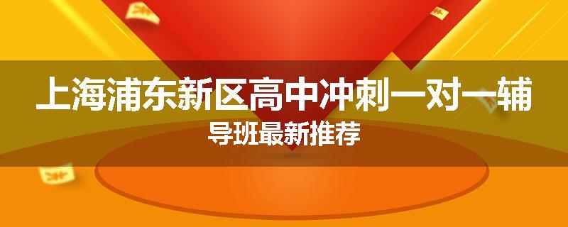 上海浦东新区高中冲刺一对一辅导班最新推荐