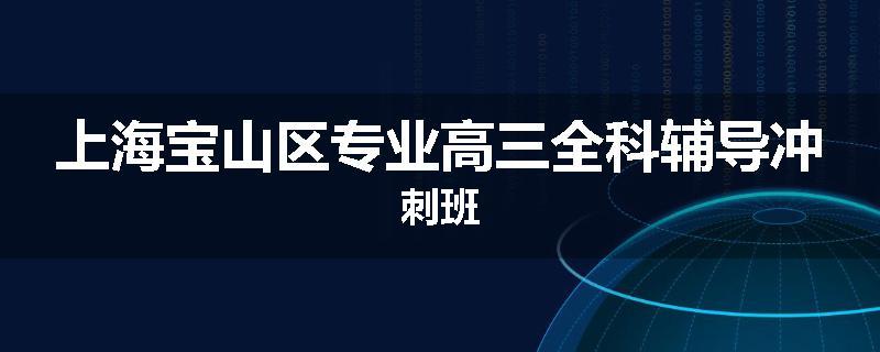 上海宝山区专业高三全科辅导冲刺班