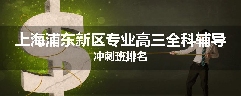 上海浦东新区专业高三全科辅导冲刺班排名