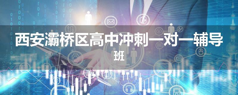 西安灞桥区高中冲刺一对一辅导班