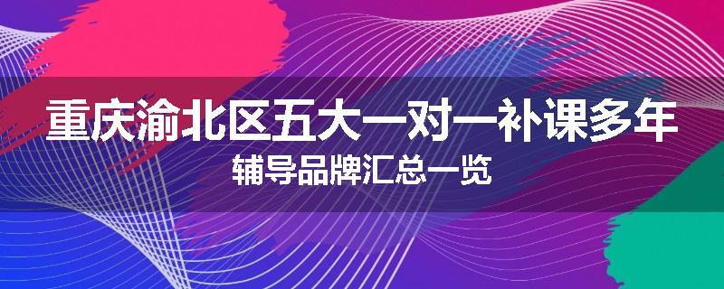 重庆渝北区五大一对一补课多年辅导品牌汇总一览