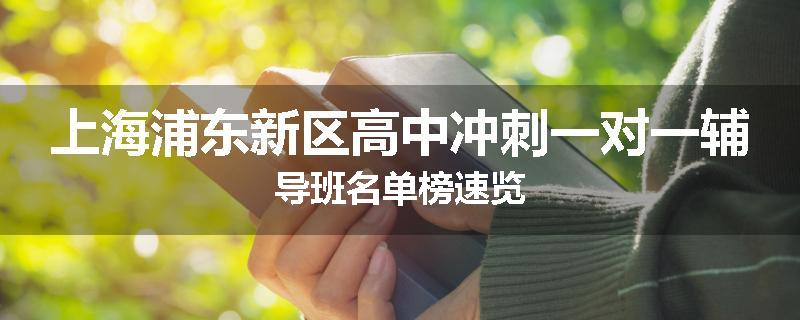 上海浦东新区高中冲刺一对一辅导班名单榜速览