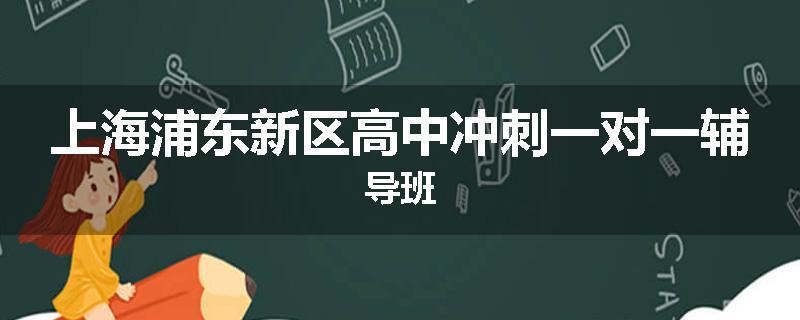 上海浦东新区高中冲刺一对一辅导班