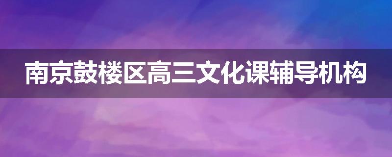 南京鼓楼区高三文化课辅导机构