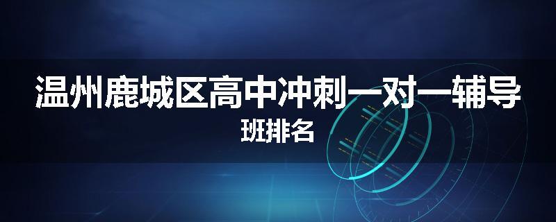 温州鹿城区高中冲刺一对一辅导班排名