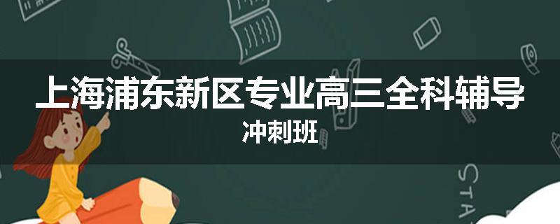 上海浦东新区专业高三全科辅导冲刺班