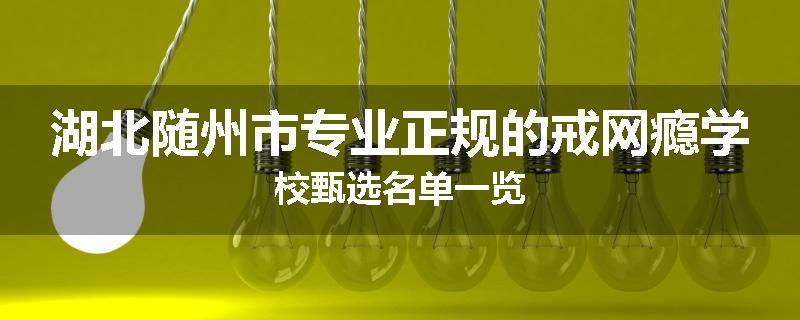 湖北随州市专业正规的戒网瘾学校甄选名单一览