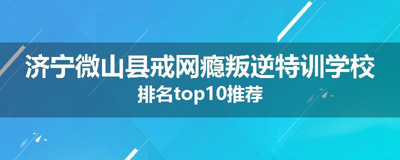 济宁微山县戒网瘾叛逆特训学校排名top10推荐
