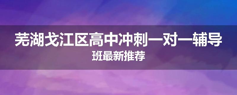芜湖戈江区高中冲刺一对一辅导班最新推荐