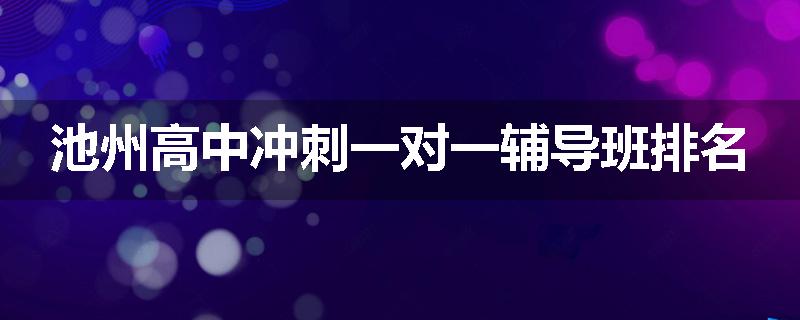 池州高中冲刺一对一辅导班排名