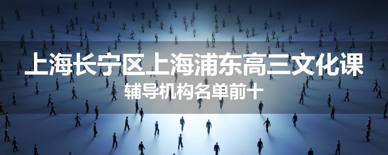 上海长宁区上海浦东高三文化课辅导机构名单前十