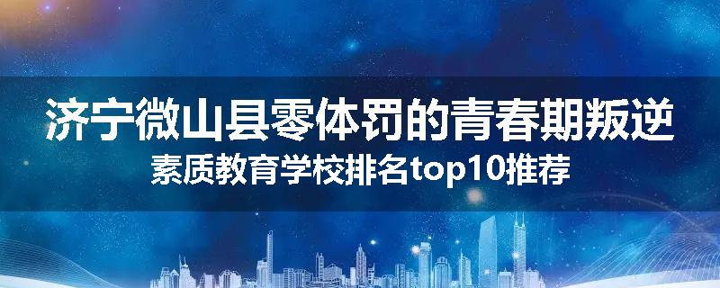 济宁微山县零体罚的青春期叛逆素质教育学校排名top10推荐